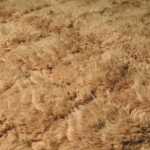 Custom Rug - Handmade Berber Rug, Custom Moroccan Carpet